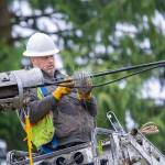 Lineman Dave Homan works on lines along Edgewood Drive near the Dry Creek Grange on Sunday. Several trees fell across power lines there during Fridays windstorm. (Jesse Major/Peninsula Daily News)