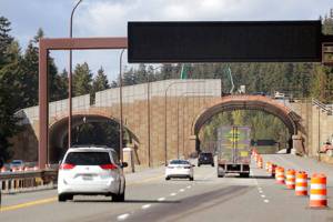 Washington state builds bridge to keep wildlife off highway