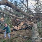 Skip Olmsted, who lives on Southeast Serenade Way, navigates his way around downed branches on his property after a tornado struck a portion of Port Orchard. (Robert Zollna/Kitsap News Group)