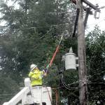 Clallam County PUD line worker Richard Christiansen works to isolate a damaged power circuit at Gasman Road at Northwood Lane that left customers in The Bluffs neighborhood east of Port Angeles without power on Thursday. (Keith Thorpe/Peninsula Daily News)