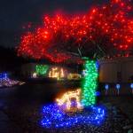 An illuminated pastoral scene with a holiday theme is displayed at 704 S. N St., in Port Angeles. (Keith Thorpe/Peninsula Daily News)
