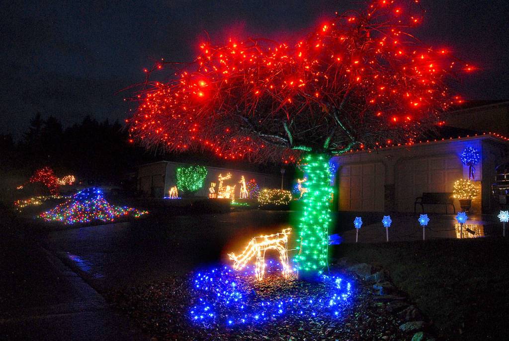 An illuminated pastoral scene with a holiday theme is displayed at 704 S. N St., in Port Angeles. (Keith Thorpe/Peninsula Daily News)