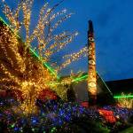 Peninsula ablaze with lights for the holidays