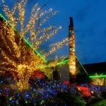 Thousands of miniature lights adorn the trees and shrubs surrounding 7 Cedars Casino in Blyn. (Keith Thorpe/Peninsula Daily News)