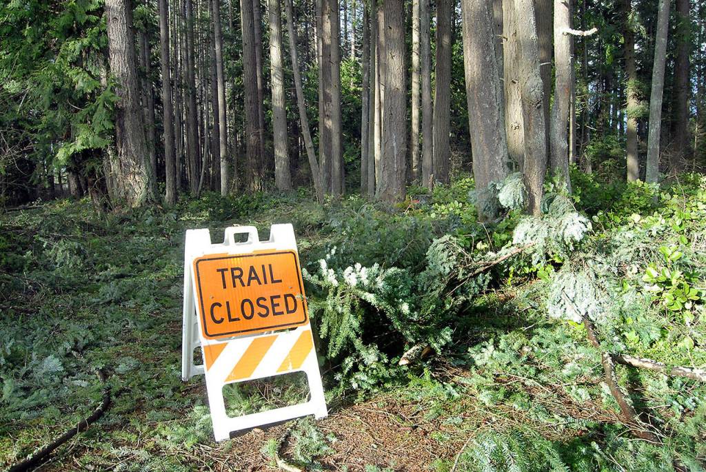 A sign warns people away from a limb-scattered trail through a forested area of Lincoln Park in Port Angeles. (Keith Thorpe/Peninsula Daily News)