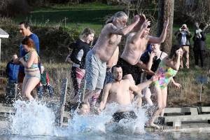 Making a splash: Plunge a mystery to some jumping into Mystery Bay