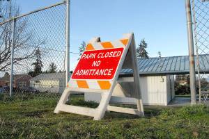 Activist arrested after sequoia felled pleads not guilty