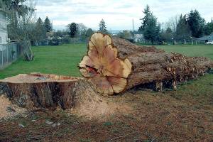 Speakers set for Lions Park celebration on MLK Day