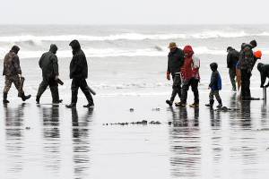 OUTDOORS: Government shutdown puts kibosh on Kalaloch razor clam digs