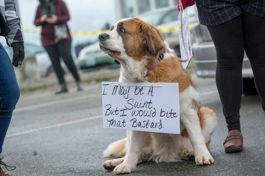 Police estimated that close to 1,000 people attended the third annual Olympic Peninsula Womxns Wave in Port Townsend on Sunday. (Jesse Major/Peninsula Daily News)
