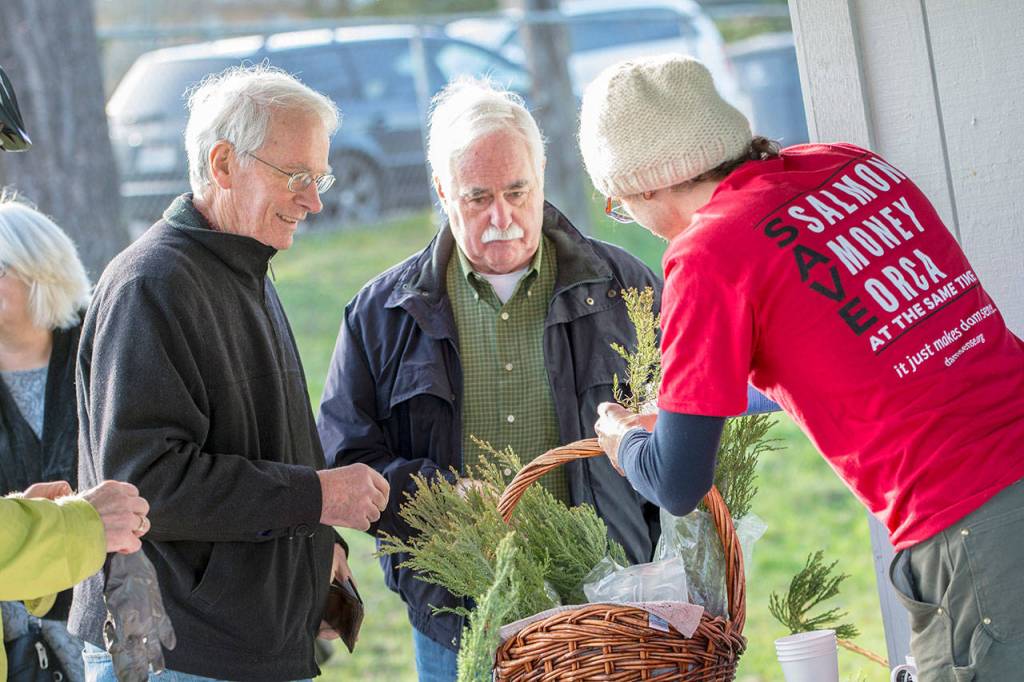 Ron Richards, left, and Mike Doherty, center, talk to Tyson Minck who was handing out sequoia saplings at the Martin Luther King Jr. celebration at Lions Park on Monday. (Jesse Major/Peninsula Daily News)