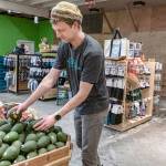 PHOTO: Aloha, avocados in Port Townsend