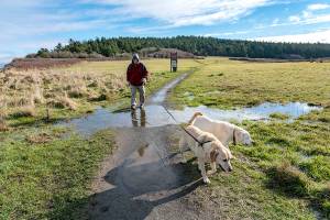 PHOTO: Adventures of Huck and Finn