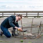 PHOTO: Cutting edge recycling work in Port Townsend