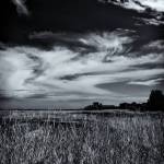 Three Crabs, Grass & Clouds by Ken Dvorak, a featured artist the the Blue Whole Gallery in February.