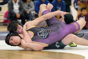 WRESTLING: PA’s Gale, Basden win subregional titles