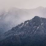 Snow began to fall across the North Olympic Peninsula on Sunday afternoon. It was the first time this winter snow had made its way into the lowlands. (Jesse Major/Peninsula Daily News)