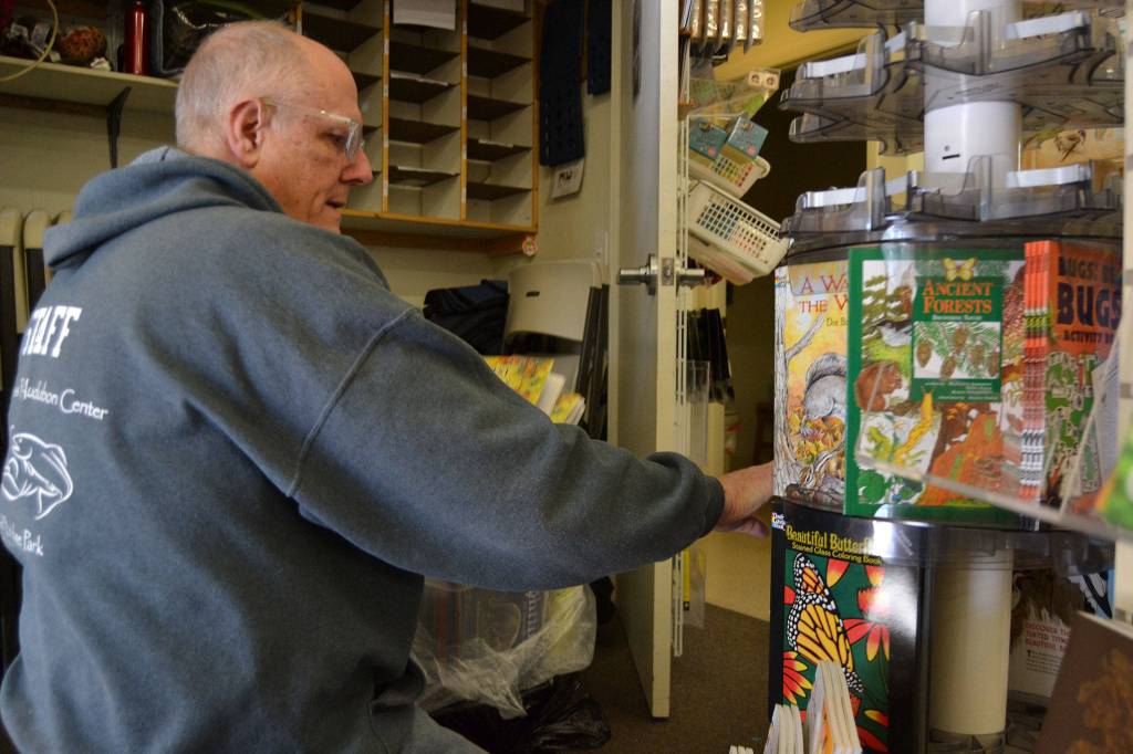 Roger Magee, visitor services staffer for the Dungeness River Audubon Center, restocks books after helping clean the center. (Matthew Nash/Olympic Peninsula News Group)