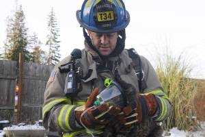 None injured, cat rescued in Carlsborg home fire