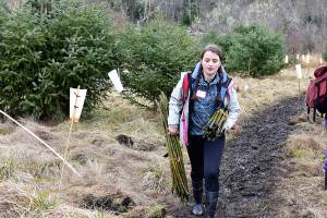 Plant-A-Thon puts thousands of trees in Tarboo area