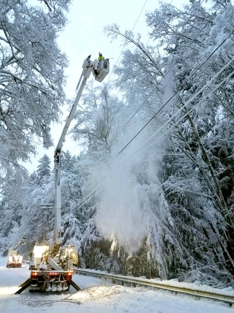 Jefferson County Public Utility District crews remove a tree from electrical power lines Saturday morning in Port Ludlow. (Bo Lee/line crew foreman)