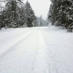 Palo Alto Road above Sequim was snow-covered early Saturday afternoon. (Michelle Lynn/Peninsula Daily News)