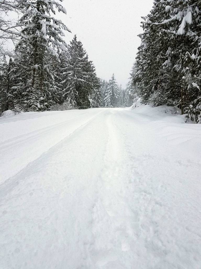 Palo Alto Road above Sequim was snow-covered early Saturday afternoon. (Michelle Lynn/Peninsula Daily News)