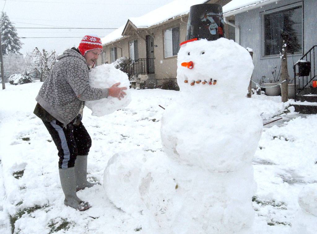 Jeff Bellis of Port Angeles builds a family of snowmen along Cherry Street in Port Angeles on Friday. (Keith Thorpe/Peninsula Daily News)