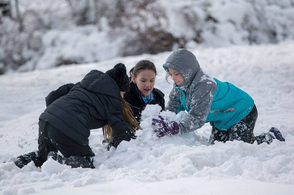 From left, Kaloni Mayfield, 11, Keerah Brown, 12, and Darkfeather Blackcrow, 10, work together to build a fort during a community snowball fight in Port Angeles on Sunday. (Jesse Major/Peninsula Daily News)