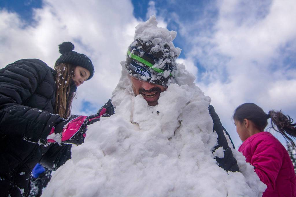 Bruce Delgado braves the cold as kids cover him with snow during a community snowball fight in Port Angeles on Sunday. (Jesse Major/Peninsula Daily News)