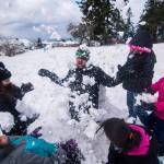 After being covered in snow by several kids Bruce Delgado breaks out of his snowy shell during a community snowball fight in Port Angeles on Sunday. (Jesse Major/Peninsula Daily News)