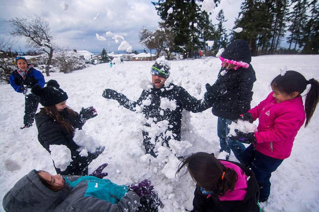 After being covered in snow by several kids Bruce Delgado breaks out of his snowy shell during a community snowball fight in Port Angeles on Sunday. (Jesse Major/Peninsula Daily News)
