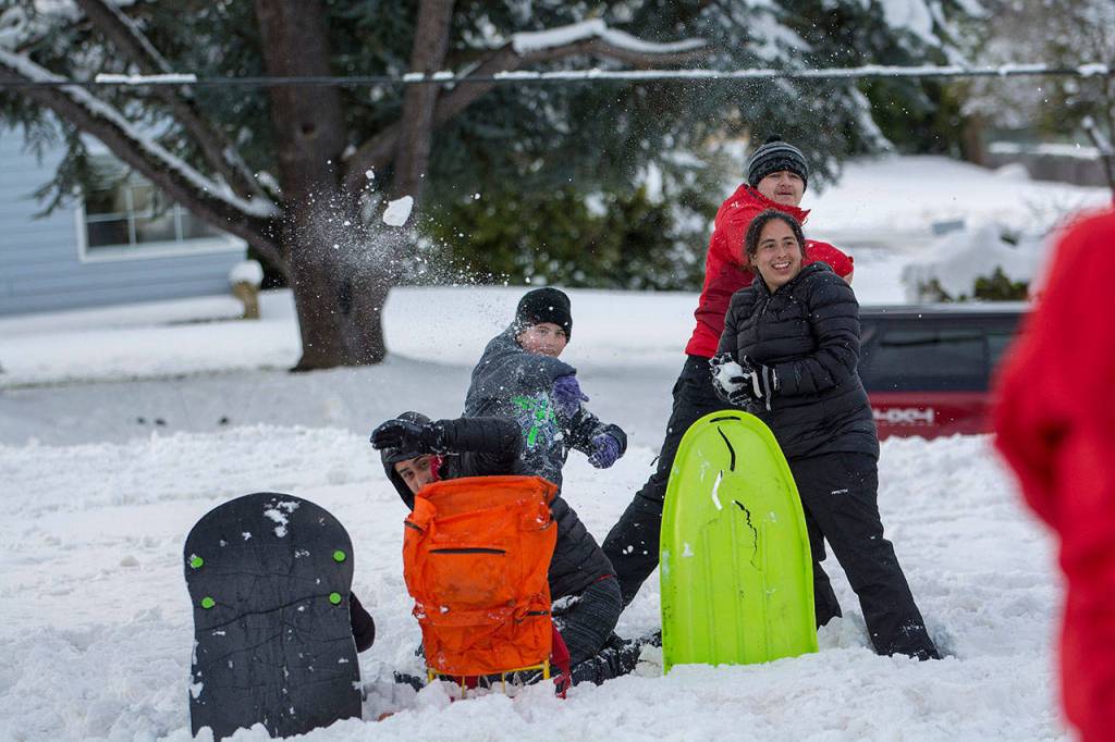 Scenes from the community snowball fight in Port Angeles on Sunday. (Jesse Major/Peninsula Daily News)