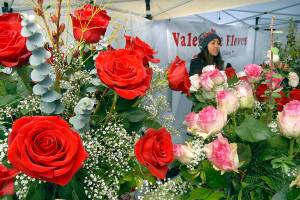 Roses are red for Valentine’s Day