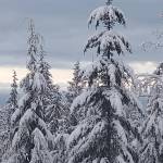 A GROWING CONCERN: See Gardens of the World all in one place