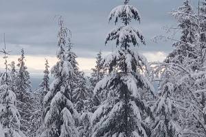 A GROWING CONCERN: See Gardens of the World all in one place