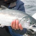 OUTDOORS: Summer/fall salmon seasons beginning to take shape, could be a good year for coho
