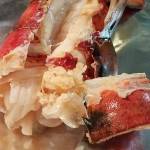 THE COOKING HOBBYIST: A lobster tail tale