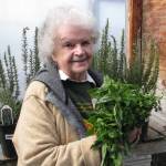 Veteran Master Gardener Sally Tysver will present ideas for growing, harvesting, storing and cooking with common culinary herbs at noon Thursday. (Amanda Rosenberg)