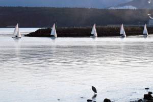 PHOTO: Boats all in a row in Port Townsend Bay