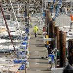 Boats sit moored at their berths Tuesday at John Wayne Marina near Sequim. (Keith Thorpe/Peninsula Daily News)