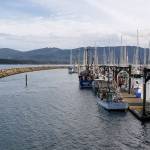 John Wayne Marina near Sequim is seen here in January. (Laura Foster/Peninsula Daily News)