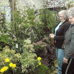 Annual Garden Gala set for Saturday, Sunday