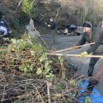 Melissa Belz, right, and Jordyn Shaffer, both of Port Angeles, use rakes to pull ivy. (Keith Thorpe/Peninsula Daily News)
