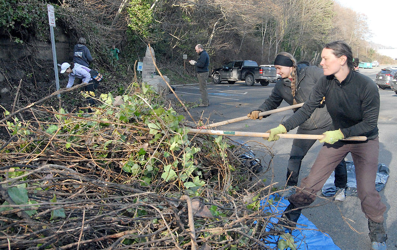 Melissa Belz, right, and Jordyn Shaffer, both of Port Angeles, use rakes to pull ivy. (Keith Thorpe/Peninsula Daily News)