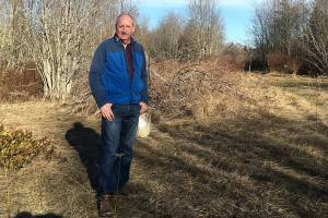 Pennies for Quarters buys land for tiny houses