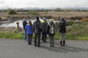 Registration still open for many BirdFest activities