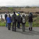 Bird watchers search for water fowl at Helens Pond in the Three Crabs area near Dungeness during a tour of bird-spotting locations for last years BirdFest. (Keith Thorpe/Peninsula Daily News)