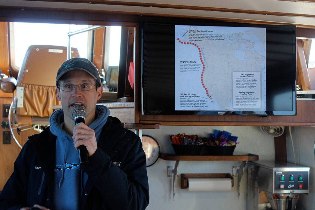 Naturalist Bart Rulon shows the migration map of gray whales in a cabin presentation. (Patricia Guthrie/Whidbey News Group)