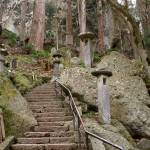 Yamadera toros (stone lanterns). Photo courtesy of Wendy Feltham